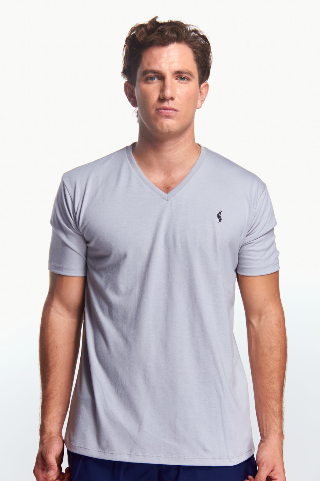 Playera Cuello V Básica Gris perla