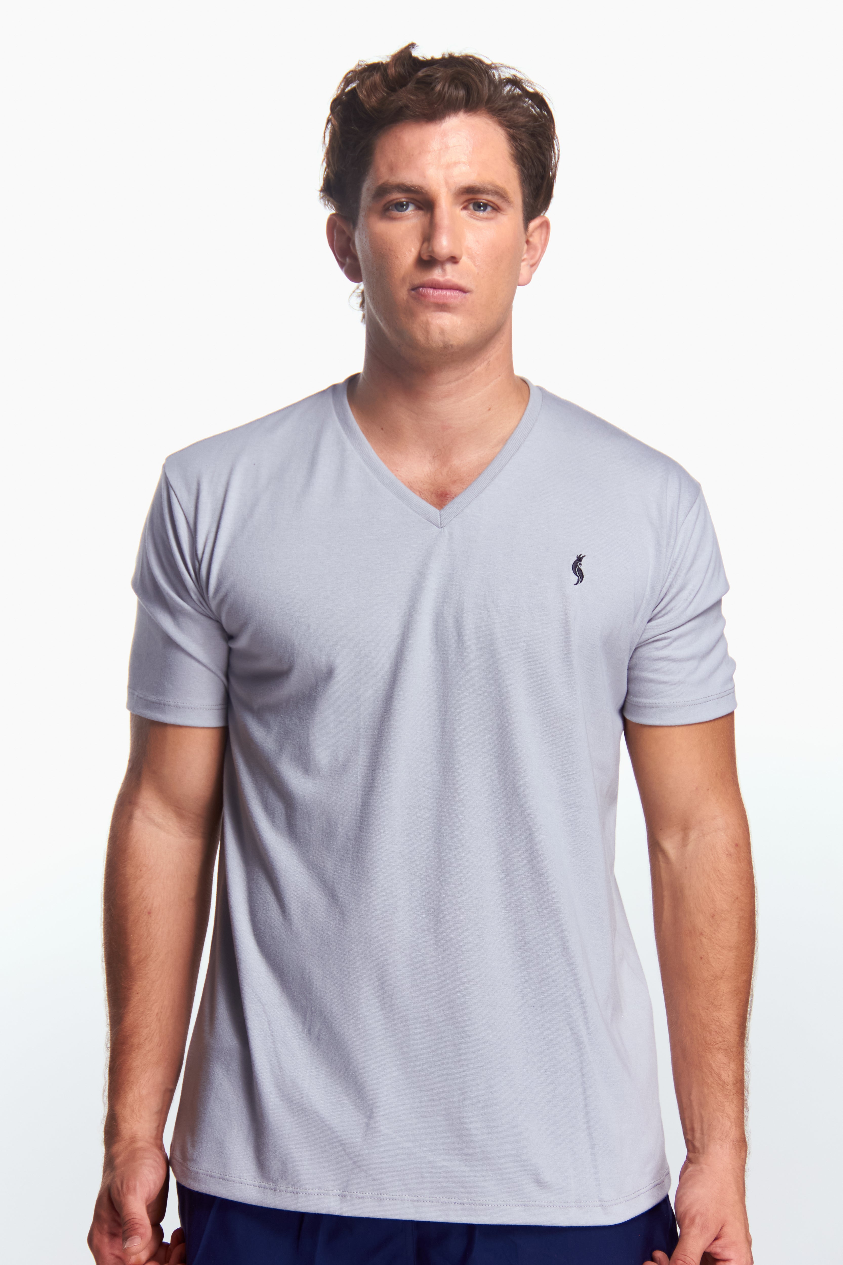 Playera Cuello V Básica Gris perla