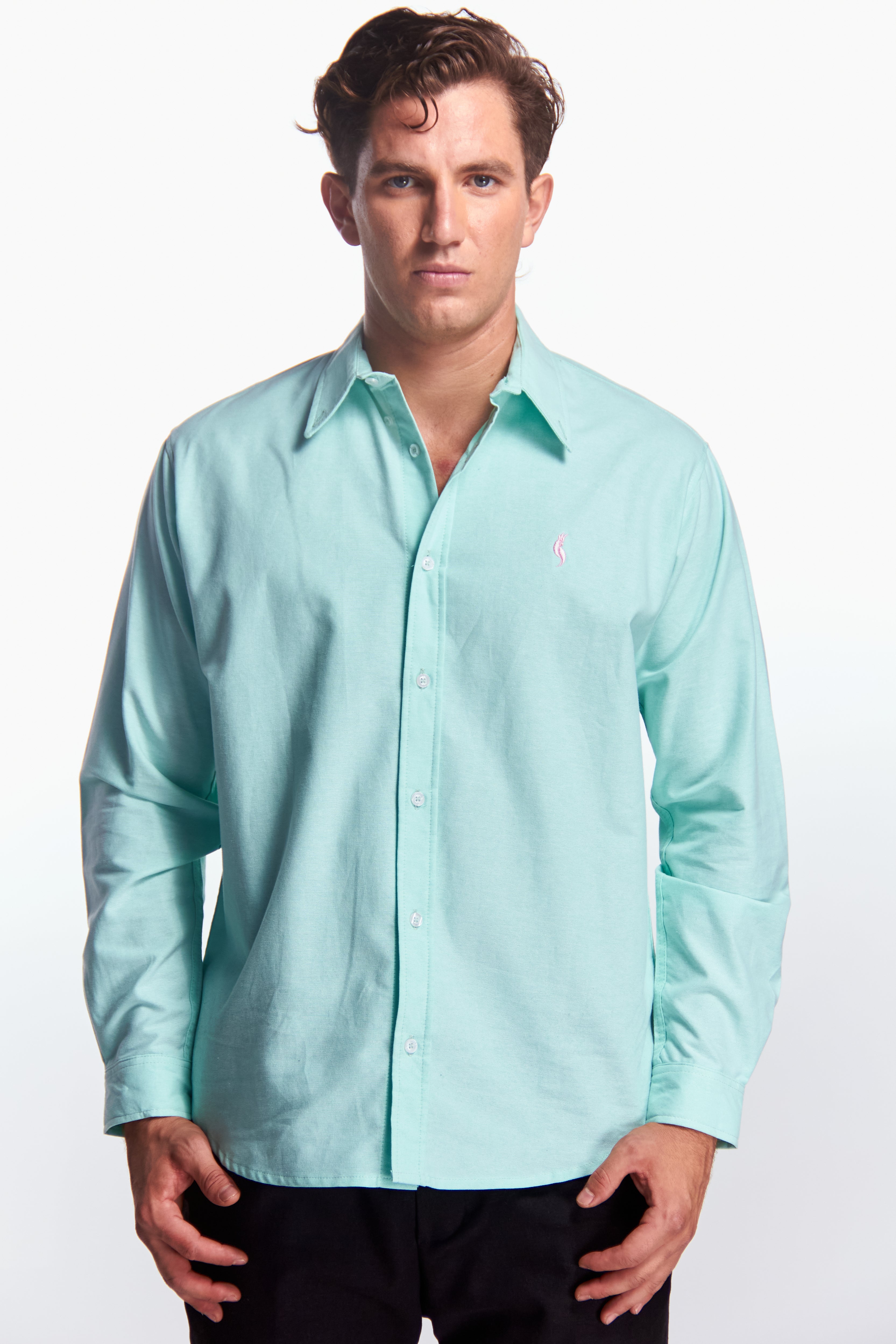 Camisa Manga Larga Básica Aqua