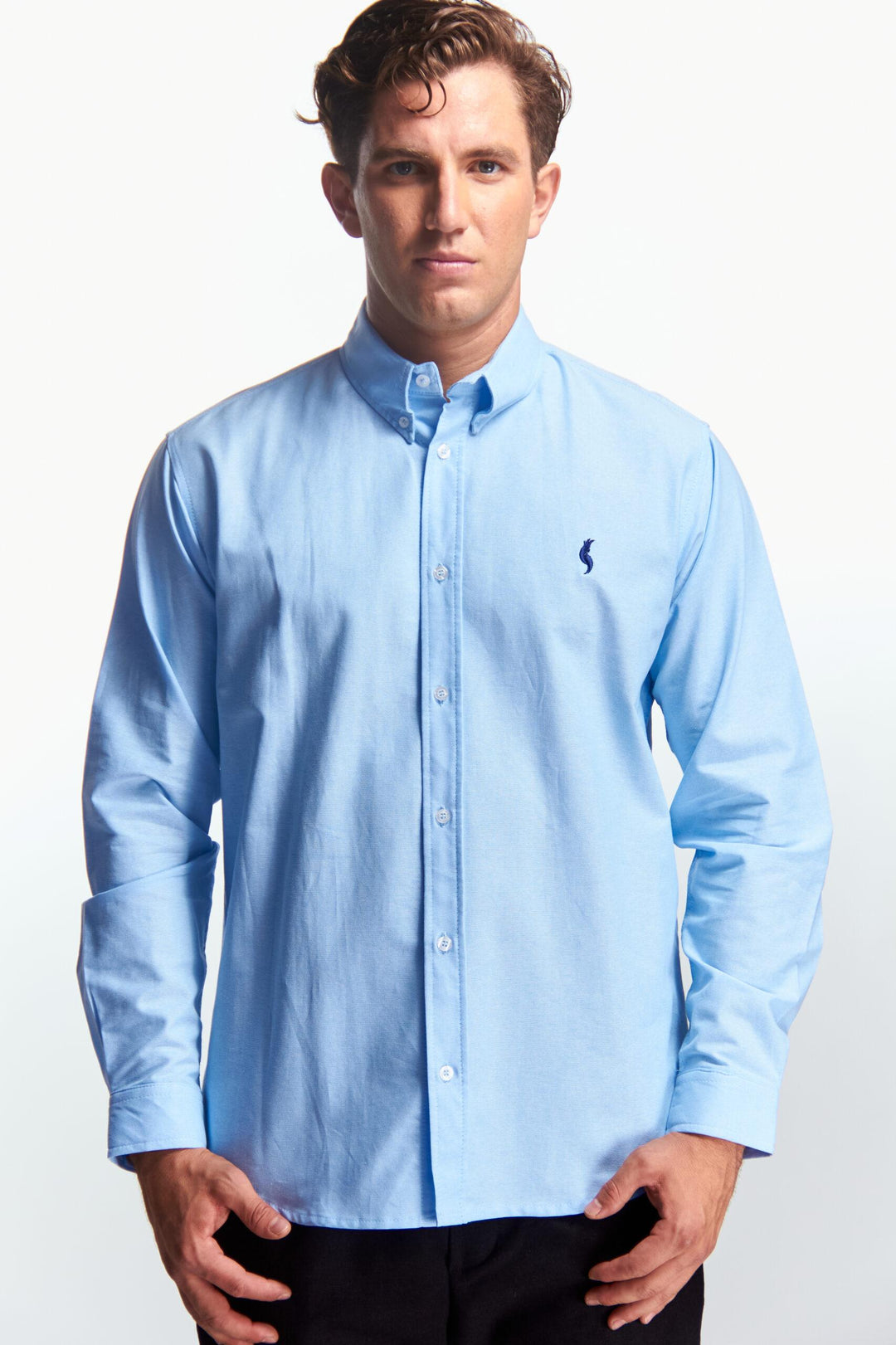 Camisa Manga Larga Básica Azul Cielo